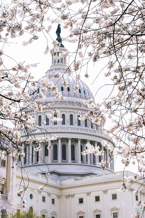 The top of a government building